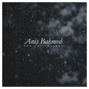 Pochette - The Last Flakes - Anis Bahmed