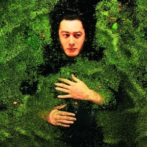 pochette - La nuit je mens - Alain Bashung